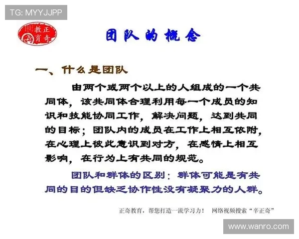 深入探讨上海网球队的团队协作与战术配合分析